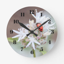 Ladybug on Silverleaf Phacelia Flowers Wall Clock