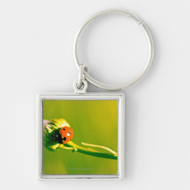 Ladybug on sprig keychain (Front)