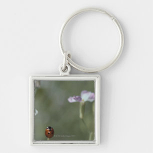 Ladybug on Stem Keychain