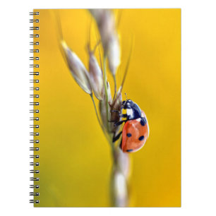 Ladybug on stem postcard jigsaw puzzle notebook