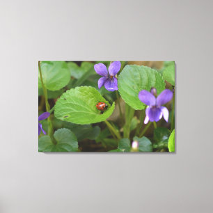 Ladybug on Sweet Violet Flowers Canvas Print