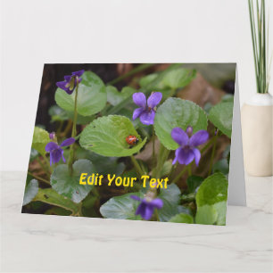 Ladybug on Sweet Violet Flowers Card
