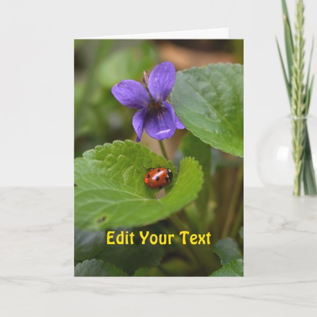 Ladybug on Sweet Violet Flowers Card (Front)