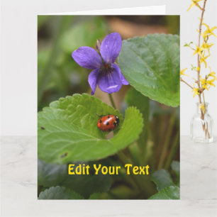 Ladybug on Sweet Violet Flowers Card