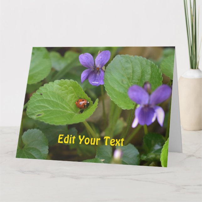 Ladybug on Sweet Violet Flowers Card (Front)