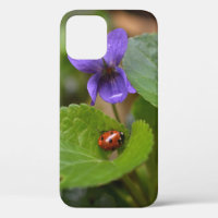 Ladybug on Sweet Violet Flowers