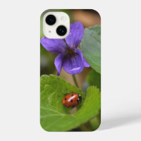 Ladybug on Sweet Violet Flowers