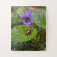 Ladybug on Sweet Violet Flowers