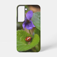 Ladybug on Sweet Violet Flowers