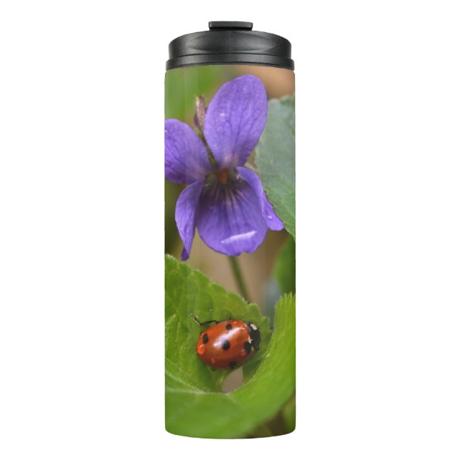 Ladybug on Sweet Violet Flowers Thermal Tumbler (Front)