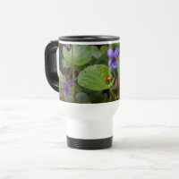 Ladybug on Sweet Violet Flowers