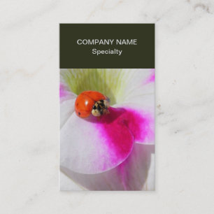 Ladybug on the petunia business card