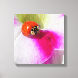 Ladybug on the petunia canvas print