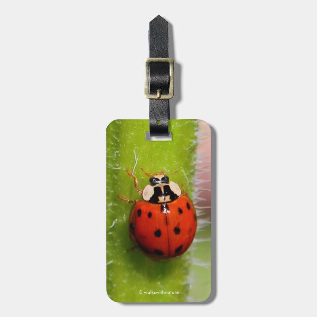 Ladybug on the Sunflower Stalk Luggage Tag (Front Vertical)