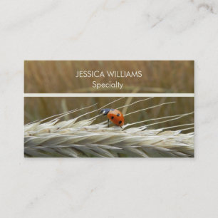 Ladybug on wheat business card