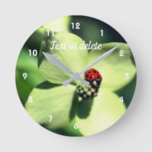 Ladybug On White Dogwood Flower Personalized Round Clock