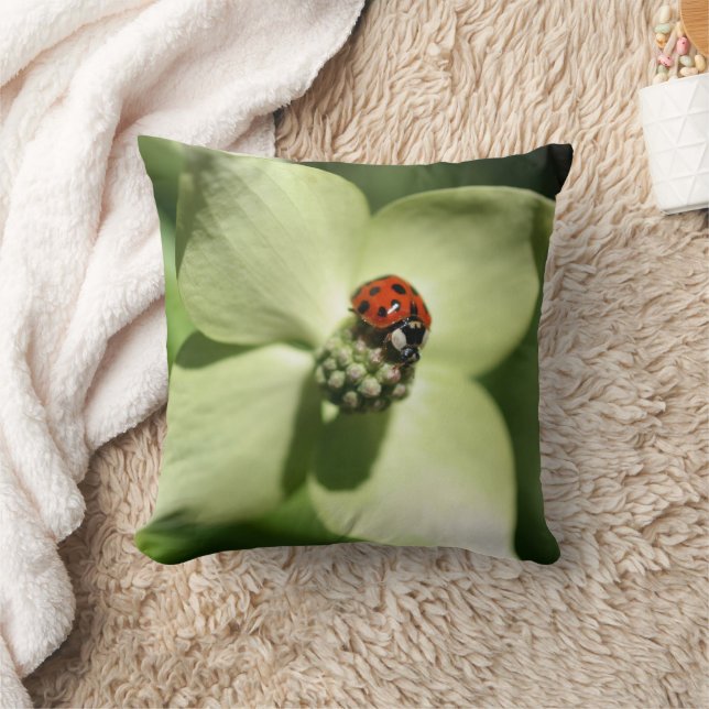 Ladybug On White Dogwood Flower  Throw Pillow (Blanket)