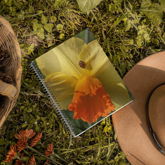 Ladybug on Yellow Daffodil Floral Notebook (In Situ)