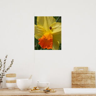 Ladybug on Yellow Daffodil Floral Poster
