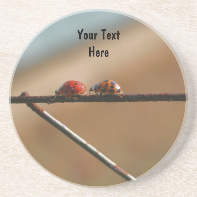 Ladybug Pair Cute Nature Drink Coaster (Front)