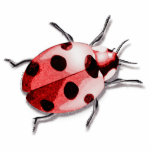 Ladybug Photo Sculpture Keychain<br><div class="desc">Ladybug is a Pop Art design</div>