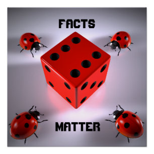 Ladybug Poster