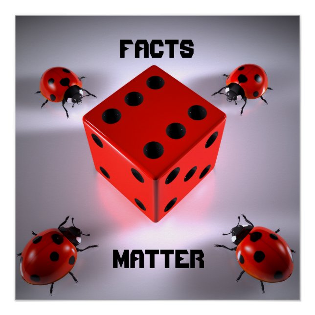 Ladybug Poster (Front)