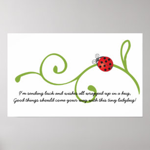 Ladybug Poster