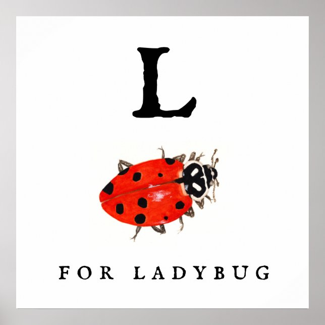 Ladybug Poster (Front)