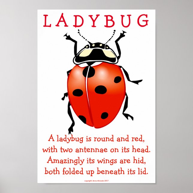 Ladybug Poster (Front)