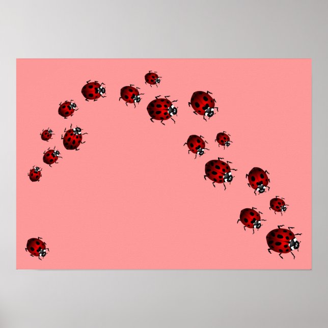 Ladybug Print Ladybird Art Large Small Poster (Front)