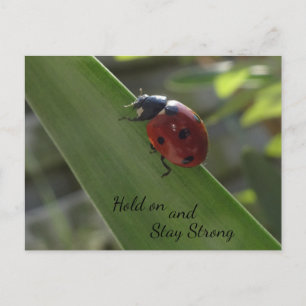Ladybug sur la feuille tenir et rester forte carte
