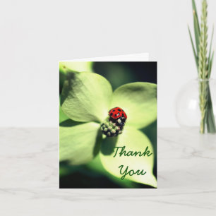 Ladybug Sur Le Carte de remerciements Flower Natur