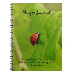 Ladybug sur le Journal de prière de foi Feuille ve