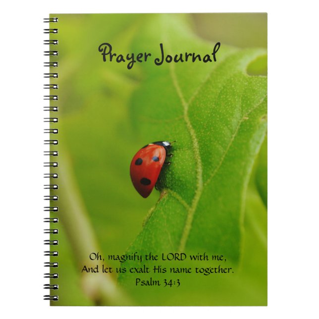 Ladybug sur le Journal de prière de foi Feuille ve (Devant)