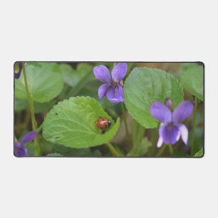Ladybug sur les fleurs de violet doux