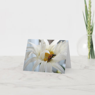 Ladybug sur une carte blanche de note Daisy
