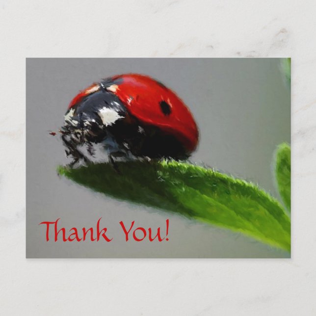 LadyBug Thank You! Postcard (Front)