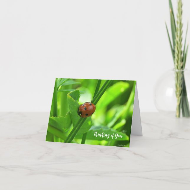 Ladybug - Thinking of You Card (Front)