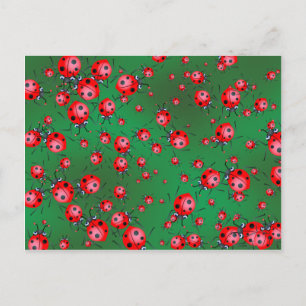 Ladybug Wallpaper Postcard