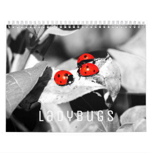 Ladybugs [1] Calendrier mural