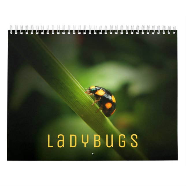 Ladybugs [2] Calendrier mural (Protection)