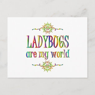 LADYBUGS are my world Postcard