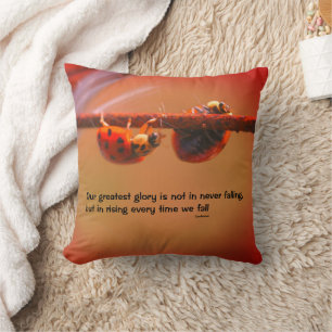 Ladybugs Attitude Inspirational Confucius Quote Throw Pillow