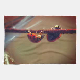 Ladybugs Balancing Close Up Kitchen Towel