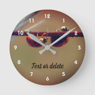 Ladybugs Balancing Close Up Personalized Round Clock