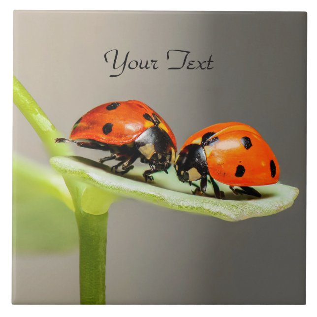 Ladybugs Beetles Ceramic Tile (Front)
