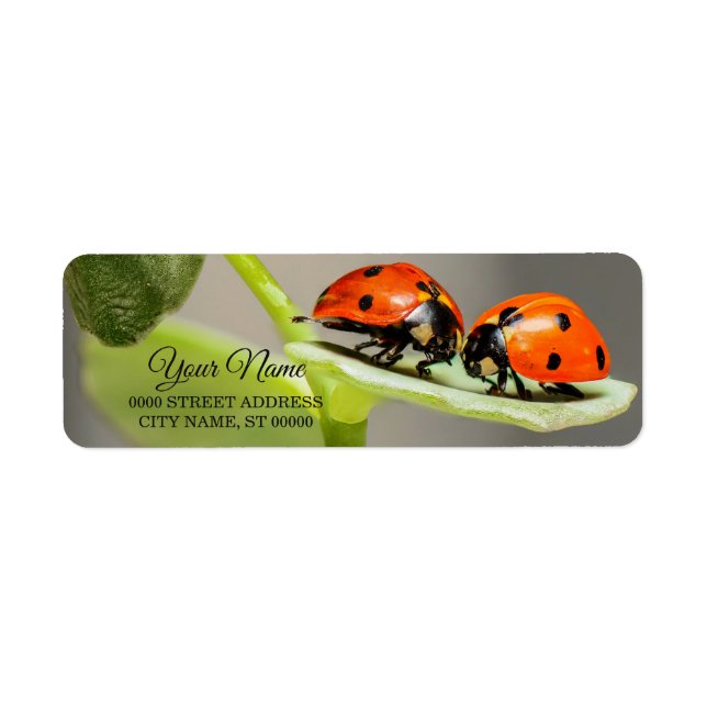 Ladybugs Beetles Return Address Label (Front)