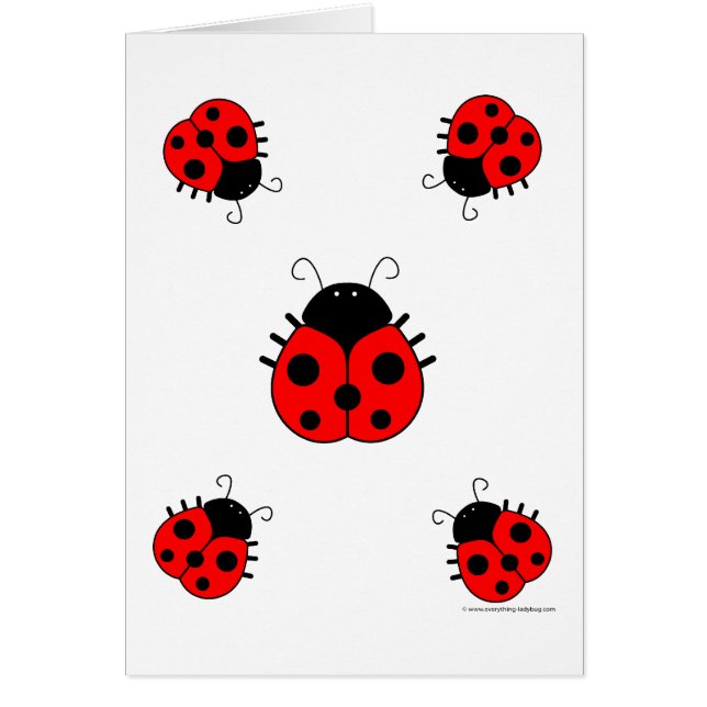 Ladybugs Blank Card (Front)