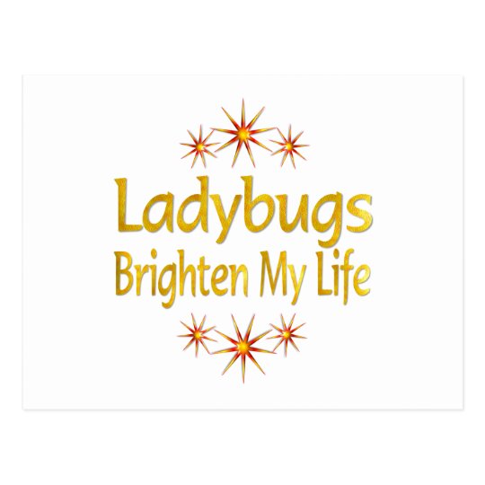 Ladybugs Brighten My Life Postcard